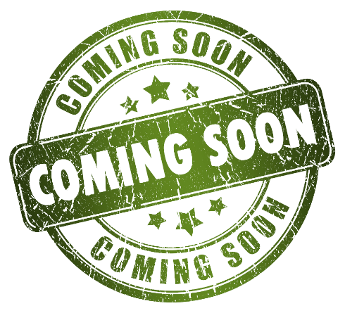 مان آرتا سلامت به زودی